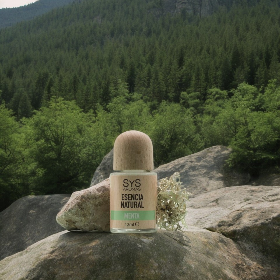 11083-Esencia-Menta-Herbal-12ml-SYS-Aromas-Photoroom