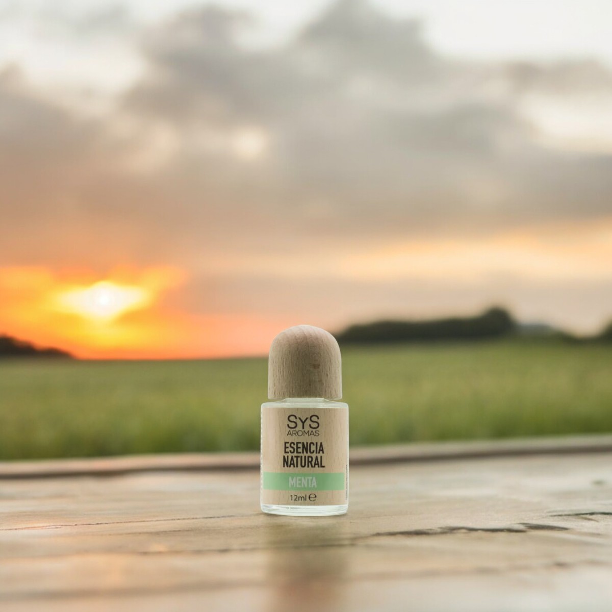 11083-Esencia-Menta-Natural-12ml-SYS-Aromas-Photoroom
