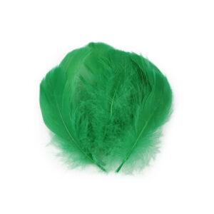 Set 20 pene decorative de strut lungime 6-10 cm, Verde