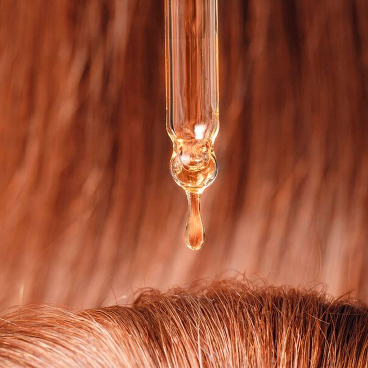 argan4.jpg