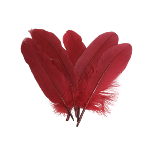 Set 20 pene decorative gasca, lungime 15 -21 cm, Bordo